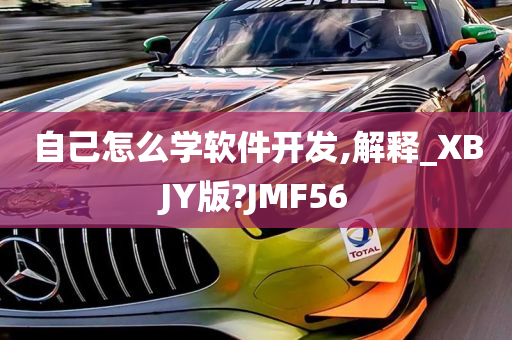 自己怎么学软件开发,解释_XBJY版?JMF56