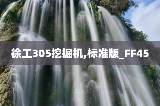 徐工305挖掘机,标准版_FF45