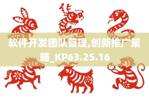 软件开发团队管理,创新推广策略_KP63.25.16