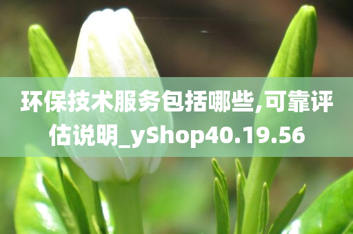 环保技术服务包括哪些,可靠评估说明_yShop40.19.56