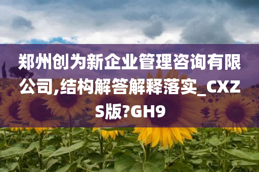 郑州创为新企业管理咨询有限公司,结构解答解释落实_CXZS版?GH9