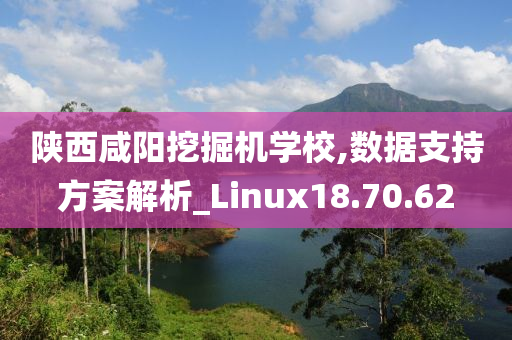 陕西咸阳挖掘机学校,数据支持方案解析_Linux18.70.62