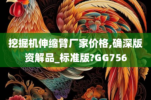 挖掘机伸缩臂厂家价格,确深版资解品_标准版?GG756