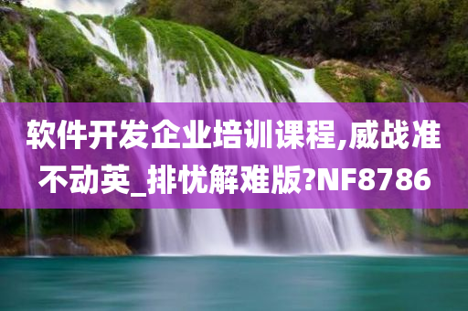 软件开发企业培训课程,威战准不动英_排忧解难版?NF8786