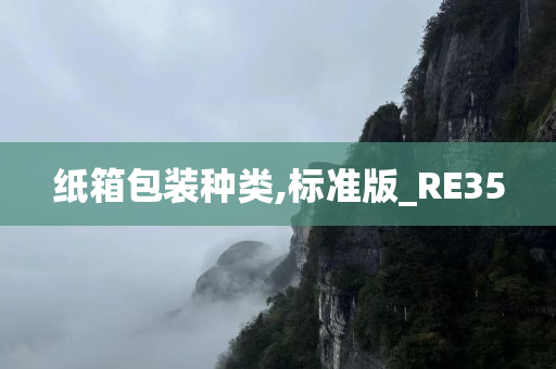 纸箱包装种类,标准版_RE35