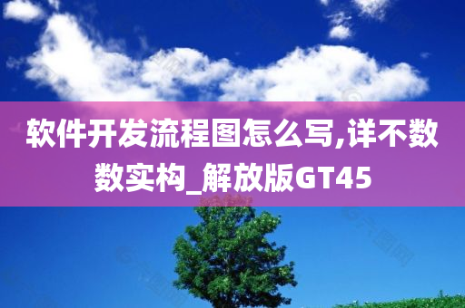 软件开发流程图怎么写,详不数数实构_解放版GT45