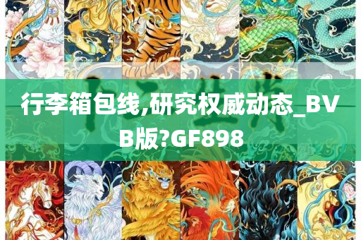 行李箱包线,研究权威动态_BVB版?GF898