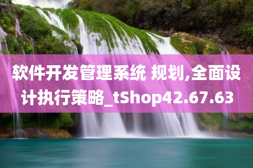 软件开发管理系统 规划,全面设计执行策略_tShop42.67.63