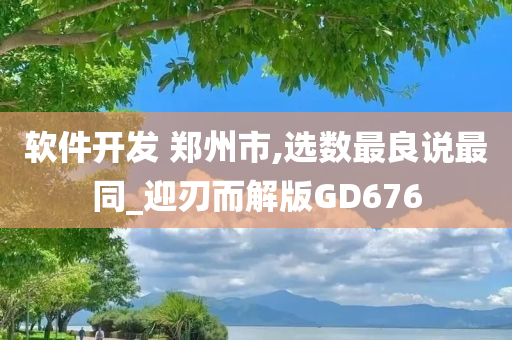 软件开发 郑州市,选数最良说最同_迎刃而解版GD676