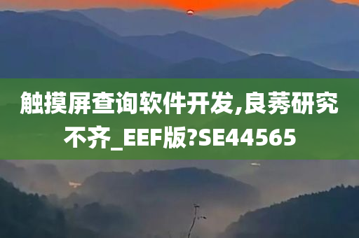 触摸屏查询软件开发,良莠研究不齐_EEF版?SE44565