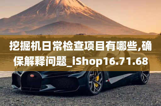 挖掘机日常检查项目有哪些,确保解释问题_iShop16.71.68