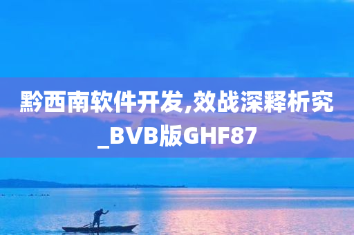 黔西南软件开发,效战深释析究_BVB版GHF87